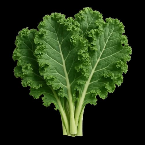 Kale Lettuce