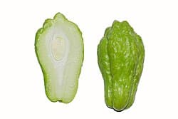 Chayote